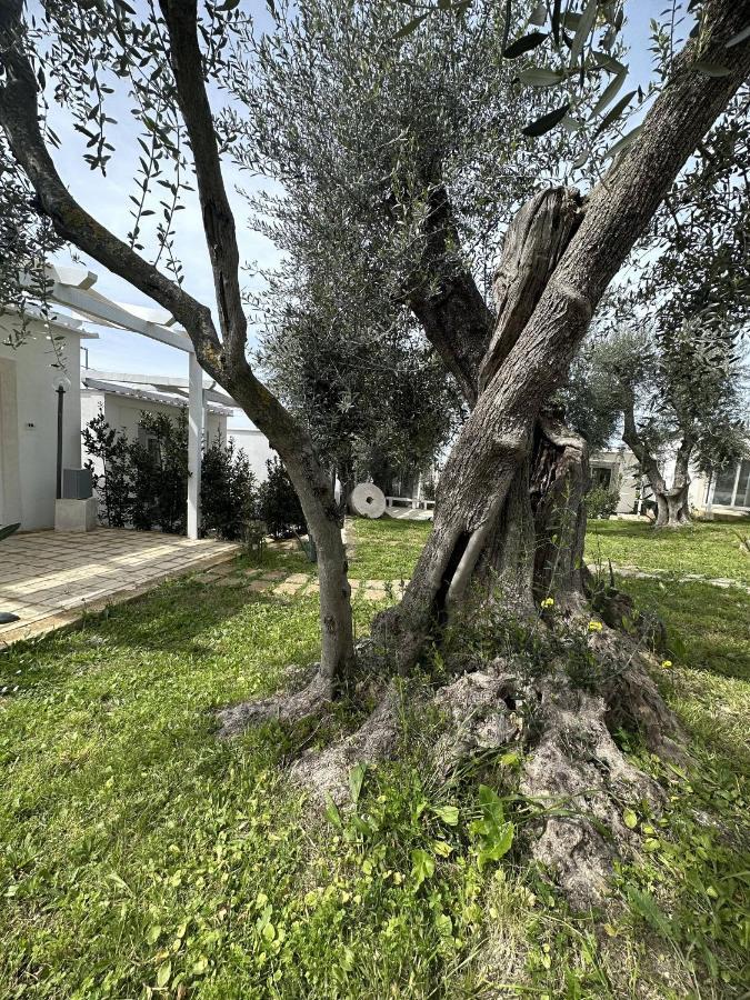 Frontemare Hotel Village & Ristorante Rodi Garganico Bagian luar foto
