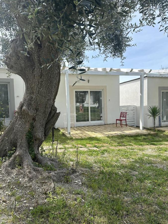 Frontemare Hotel Village & Ristorante Rodi Garganico Bagian luar foto