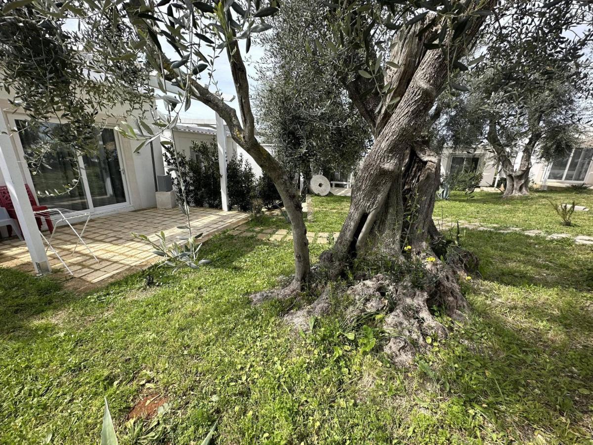 Frontemare Hotel Village & Ristorante Rodi Garganico Bagian luar foto